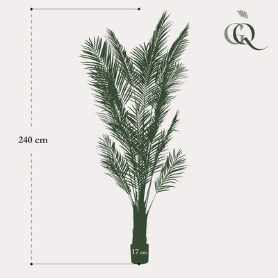 Künstliche Goldpalme Areca Lutescens 240 cm – Tropisches Grün