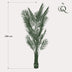 Künstliche Goldpalme Areca Lutescens 240 cm – Tropisches Grün Bild 2