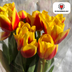 Tulpenbollen Jan Seignette – 20 Stuks | KH Bloembollen® | Rood-Geel Gestreepte Tulp – Klassiek & Opvallend – Voor Tuin of Pot – Maat 11/12 – Vers van de Teler Bild 3