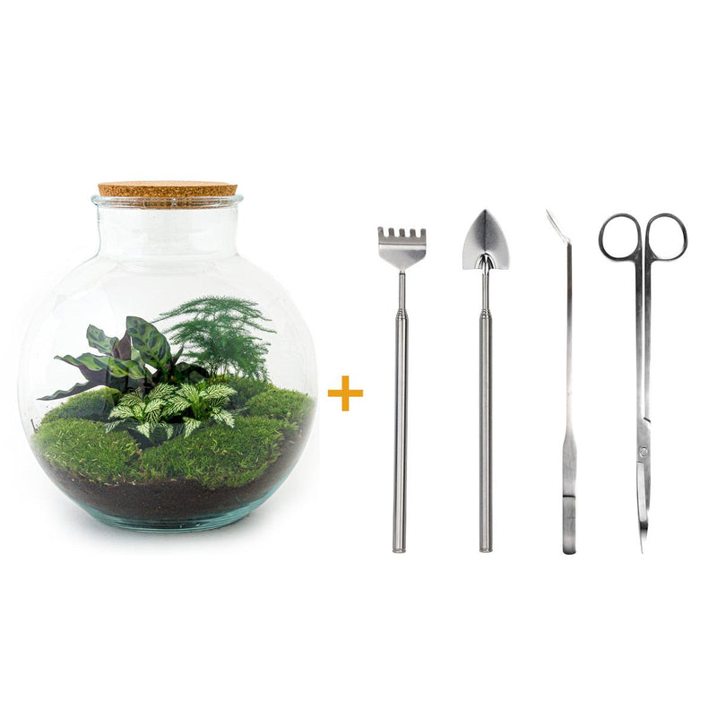 Bottle Garden Bolder Bob DIY Kit with Tools (30 cm)