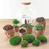 Bottle Garden Bolder Bob DIY Kit with Tools (30 cm) Bild 4