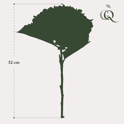 Kunstblumen: 8 weiße Hortensienzweige, 52 cm lang