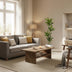 Dracaena Golden Coast - 170 cm - ø27 Bild 3
