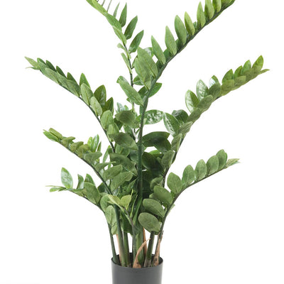 Kunstpflanze Zamioculcas (Zimmerpalme) - 110 cm