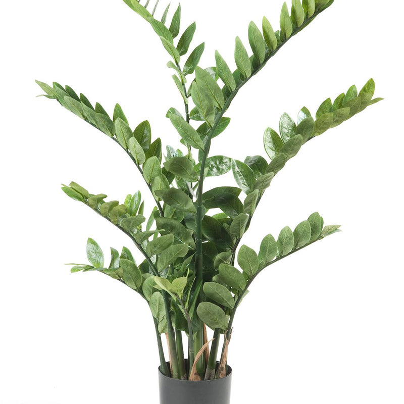 Kunstpflanze Zamioculcas (Zimmerpalme) - 110 cm