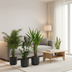 Easy Plant Box: 4 Low-Maintenance Indoor Plants for Your Home Bild 5