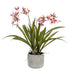 Künstliche Orchidee Bordeaux, 45 cm – Lebensecht & Pflegeleicht Bild 1