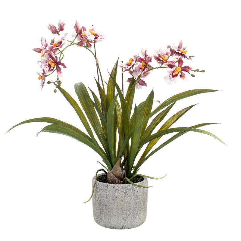 Künstliche Orchidee Bordeaux, 45 cm – Lebensecht & Pflegeleicht