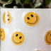 Kolibri Company | Smiley Plant Set | Yellow Phalaenopsis Albenga 9cm and Succulent including Ceramic Pots Bild 3