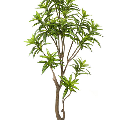 Kunstpflanze Drachenbaum (Dracaena) - 155 cm, immergrün & pflegeleicht