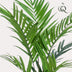 Artificial Kentia Palm 180 cm – Tropical Flair for Your Home Bild 3