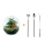 Bottle Garden Red Dome DIY Kit ↕ 20 cm | Everything included Bild 1