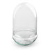 Eiförmige Terrariumflasche Egg XL mit Glaskuppel, 30cm hoch Bild 1