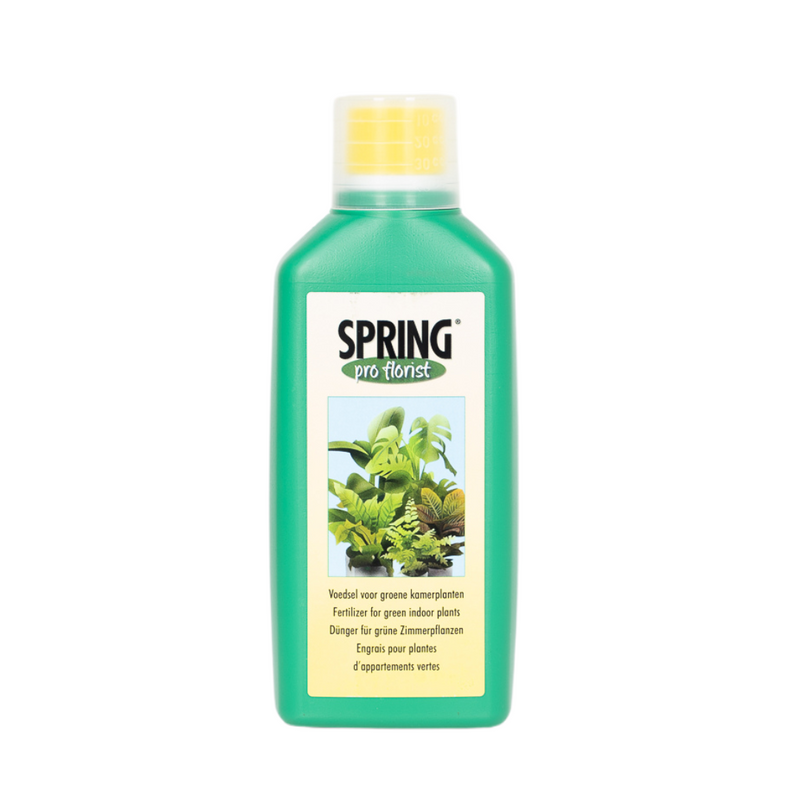 Pflanzennahrung für blühende Pflanzen, 500ml, Grüne Zimmerpflanzen