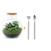 Bottle Garden 'Bolder Bob' DIY Kit incl. Plants & Decoration (30cm) Bild 1