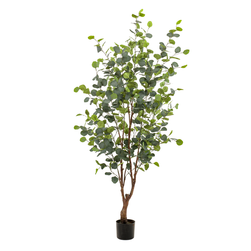 Kunstpflanze Eucalyptusbaum 'Blauer Gummibaum' - 140 cm