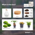 Flaschengarten Drop XL: Autarkes Biotop mit Pflanzen Bild 4