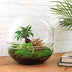 Flaschengarten Kuppel XL - Ficus Ginseng Bonsai DIY Set, 30 cm Bild 3