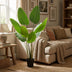 Künstliche Strelitzia Nicolai 155cm – Tropisches Flair ohne Pflege Bild 4