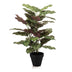 Calathea im Topf - 65 cm hoch - Kunstpflanze Bild 1