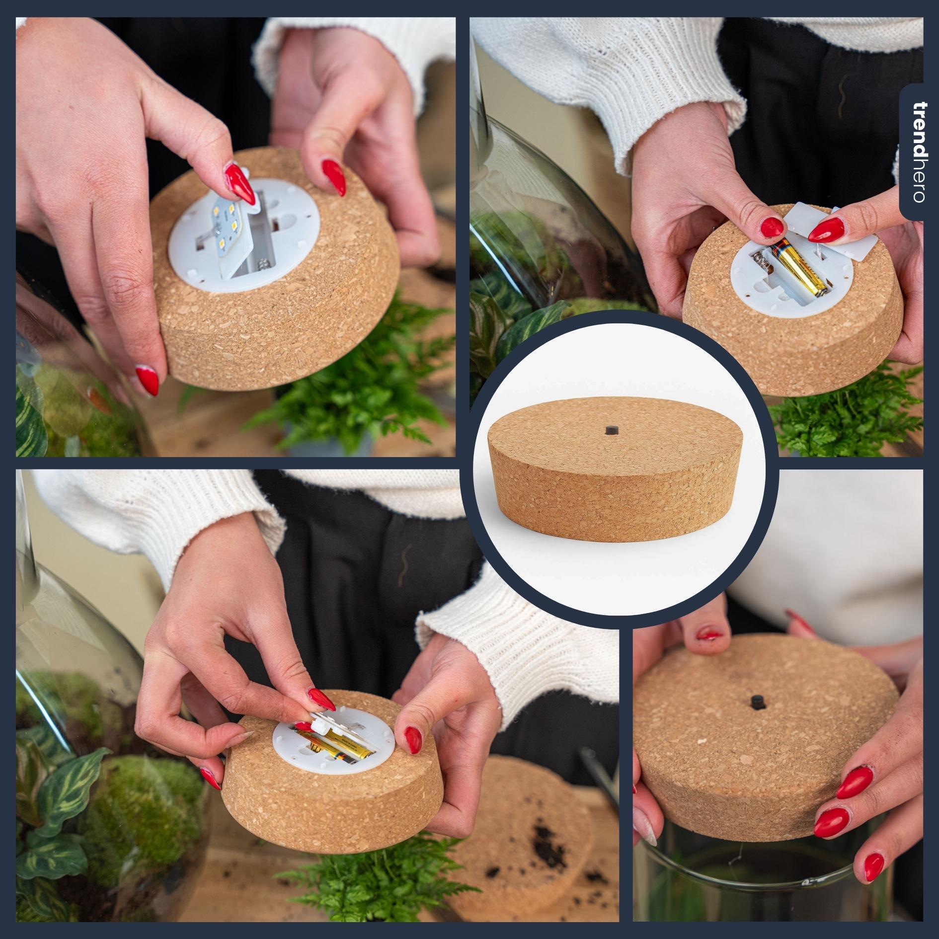 Led kurk L  - Kurk met verlichting - LED lamp voor terrarium - 13,2 x 11,9 x 3,5 cm