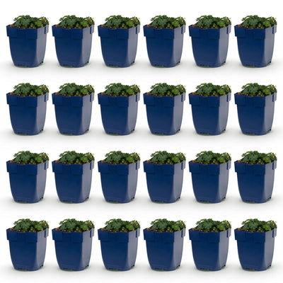 Green boutiQ - Perennial - Geranium sang. Max Frei - Cranesbill - Ground Cover - Pink - 24 Plants - Pot 11cm - Height 15-25cm