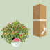 Rhododendron 'Bollywood' - 19cm Topf - ca. 45cm hoch Bild 4