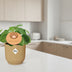 Pilea Peperomioides 12 cm Topf ELHO Vibes Fold 14 cm gelb Bild 3