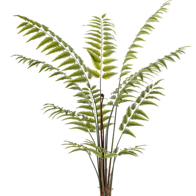Kunstpflanze Rumohra Adiantiformis (Lederfarn), 180 cm