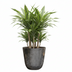 Topf Palermo Marmor Grau D30xH28 – Eleganter Übertopf für Grünpflanzen Bild 3