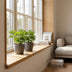 Green boutiQ - Monstera Adansonii - Monstera Adansonii - 4 Pflanzen - mit Grau Topf - Topf 12cm - Höhe 25cm Bild 3