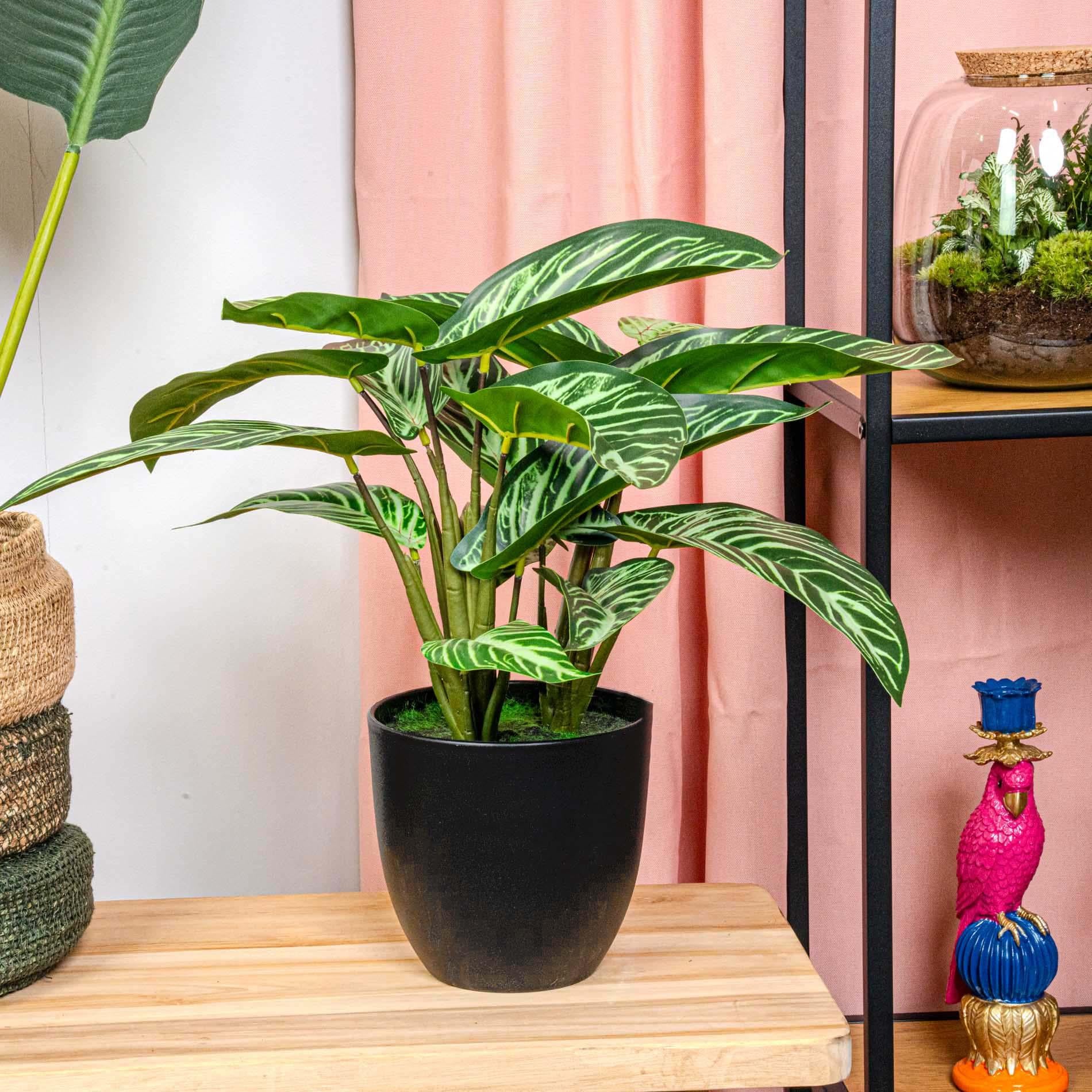 Künstliche Calathea Zebrina 42 cm im schwarzen Topf