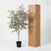 Künstliche Bucida Palme 165 cm für stilvolle Räume Bild 6