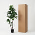 Künstlicher Ficus Lyrata verzweigt - 150 cm Bild 6