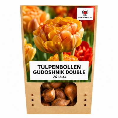 Tulpenzwiebeln Gudoshnik Double – 20 Stück | KH Bloembollen® | Gelbe, orange und rote gefüllte Tulpen – Pfingstrosenartig & farbenfroh – Für Garten oder Topf – Größe 11/12 – Frisch vom Züchter