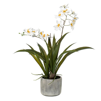 Künstliche Orchidee Weiß - 45cm - Lebensechte Deko für Ihr Zuhause