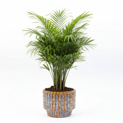 Rustic Ceramic Pot Echo Blue/Brown D10.8 H9 cm - Full of character