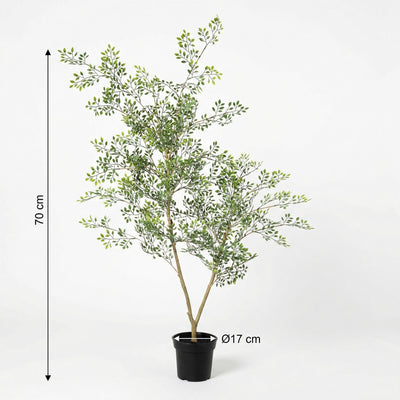 Künstliche Bucida Pflanze 71 cm - pflegeleicht & stilvoll