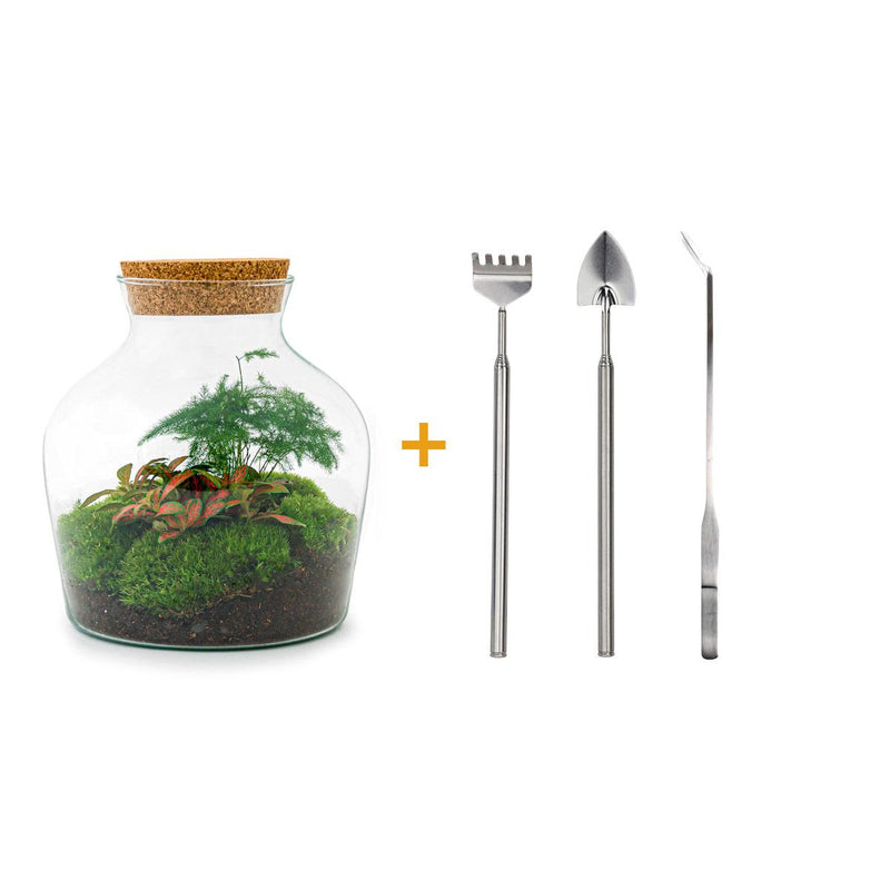 Bottle Garden - Little Joe - ↕ 21.5 cm - Rake + Shovel + Tweezers