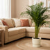 Areca-Palme (130 cm) mit elho Greenville Topf Bild 2