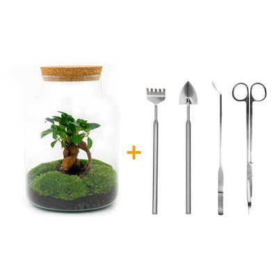 Flaschengarten DIY-Set: Milky Bonsai mit Zubehör, 30cm Höhe