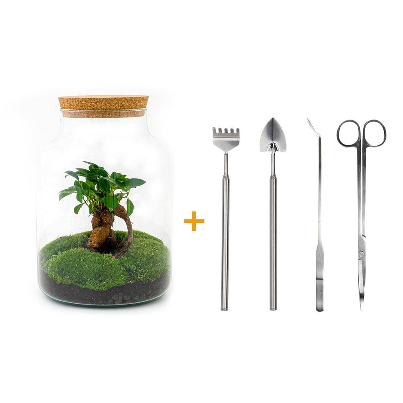 Flaschengarten DIY-Set: Milky Bonsai mit Zubehör, 30cm Höhe