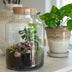 LOVE MOM Terrarium mit Licht - Muttertagsgeschenk DIY Flaschengarten Bild 4