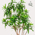 Künstliche Drachenbaum Pflanze - 190 cm Bild 3