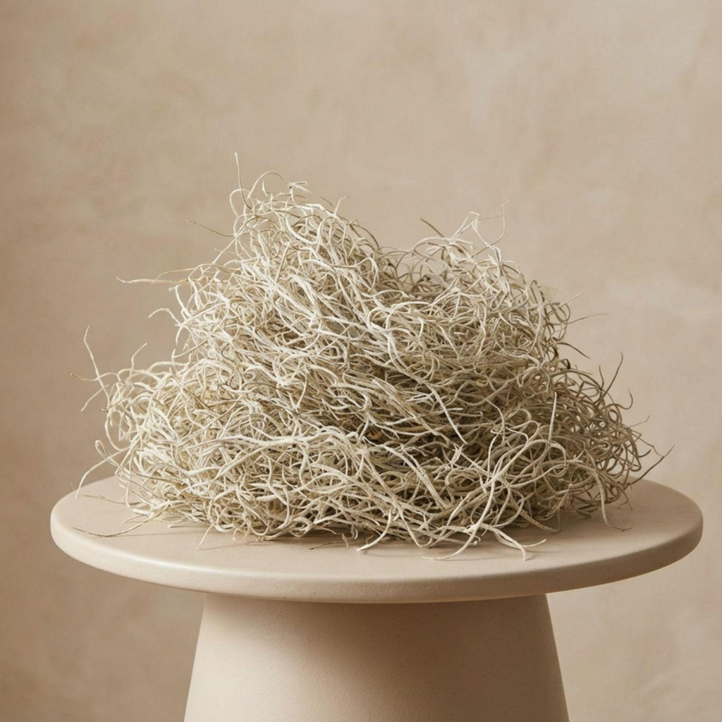 Gedroogd Tillandsia Mos – 1L – Alleen voor decoratief gebruik