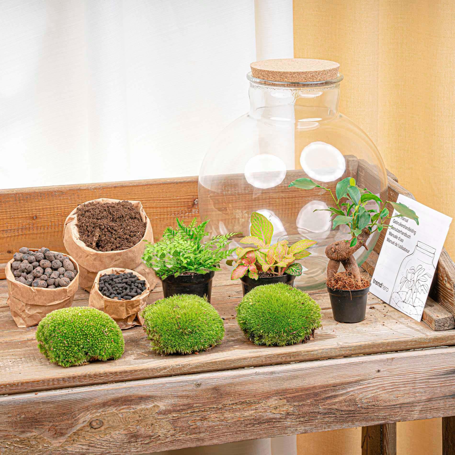DIY Planten terrarium met licht - Bolder Bob Bonsai - Ø 31 cm ↑ 30 cm