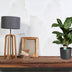 Aglaonema Greenlight (Decorum) - Pflegeleichte Zimmerpflanze mit Luftreiniger Bild 3