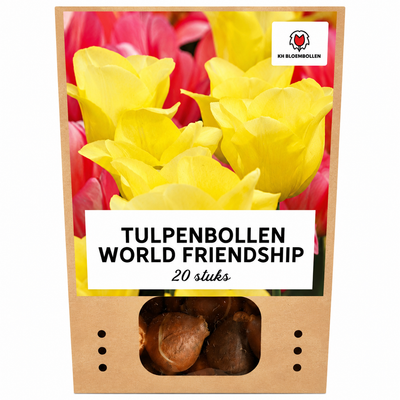 Tulpenzwiebeln World Friendship – 20 Stück | KH Bloembollen® | Lichtgele Tulp – Zacht, Vriendelijk & Elegant – Voor Tuin of Pot – Maat 11/12 – Vers van de Teler