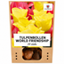 Tulpenbollen World Friendship – 20 Stuks | KH Bloembollen® | Lichtgele Tulp – Zacht, Vriendelijk & Elegant – Voor Tuin of Pot – Maat 11/12 – Vers van de Teler Bild 6