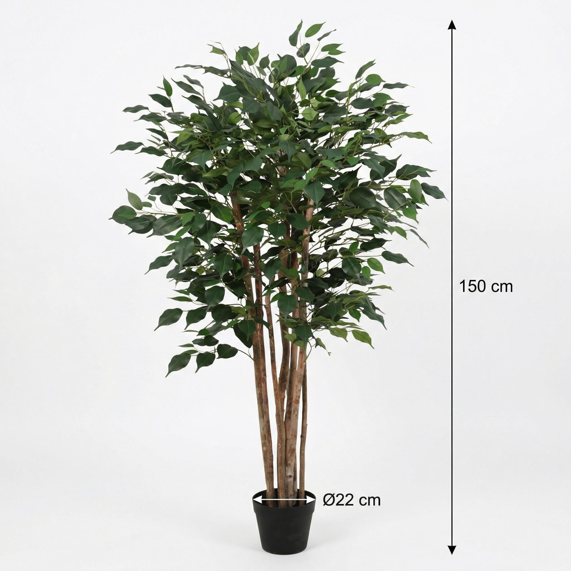 ARTIFICIAL Ficus Benjamina - 150cm